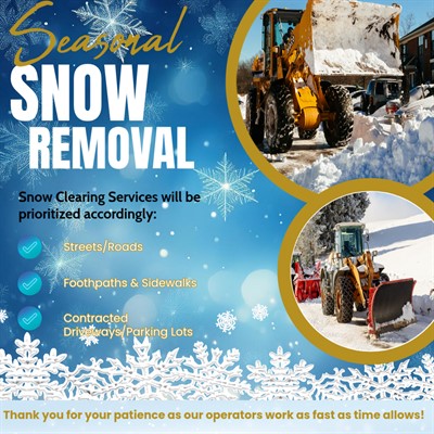 SeasonalSnowRemoval